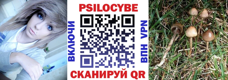 Галлюциногенные грибы Cubensis  цена наркотик  дарк нет состав  Обоянь 